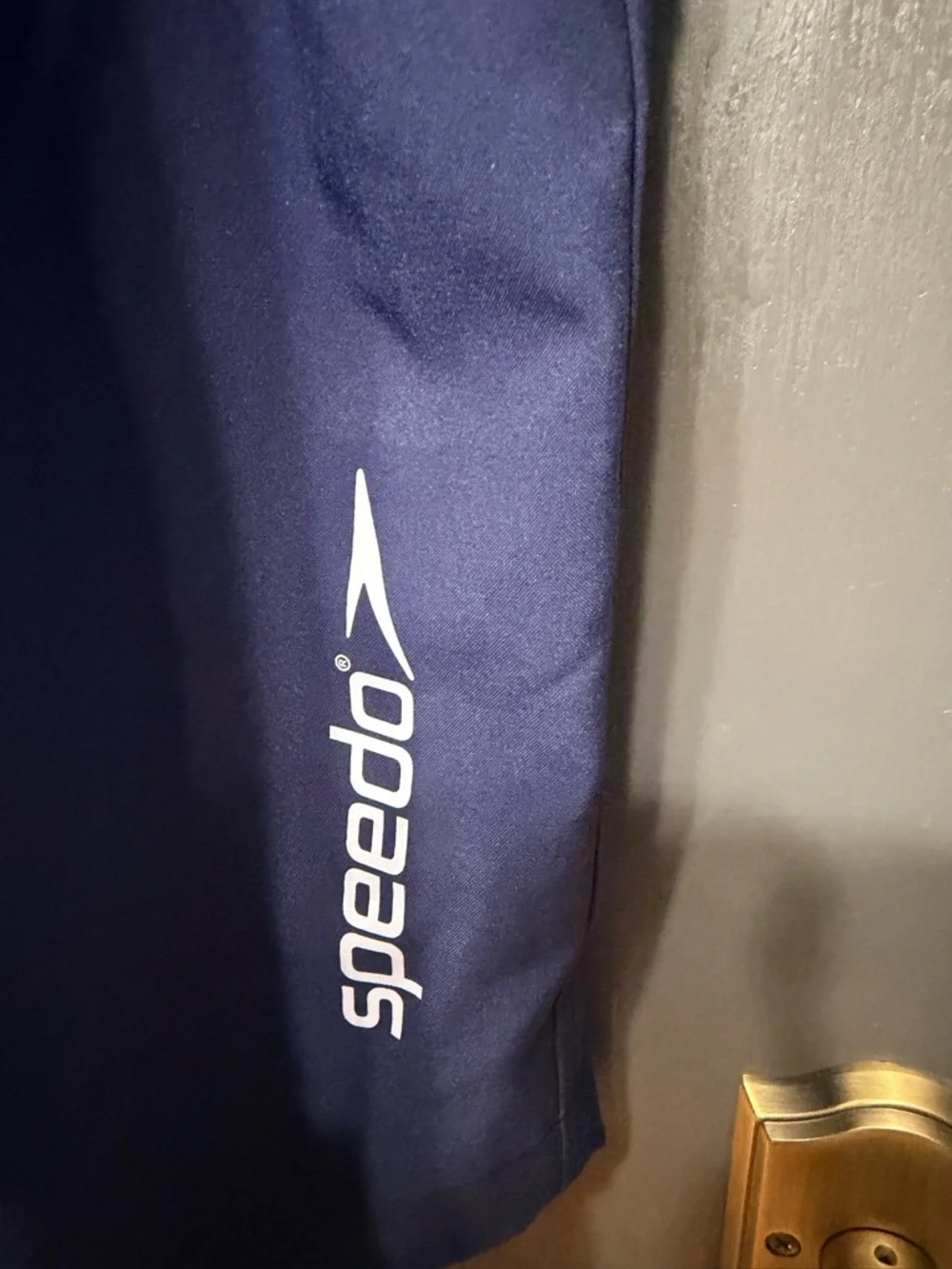 Speedo Men’s Navy Swim Trunks with Bright Blue Waistband